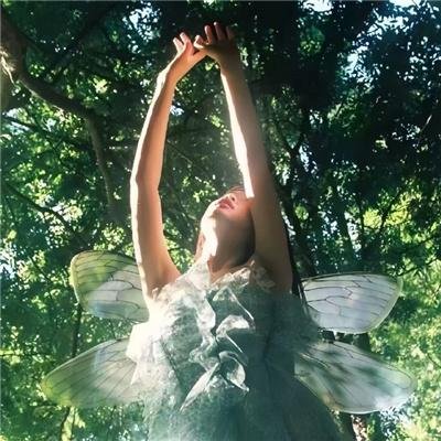 梦幻拍档